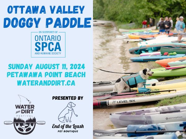 doggie paddle event poster