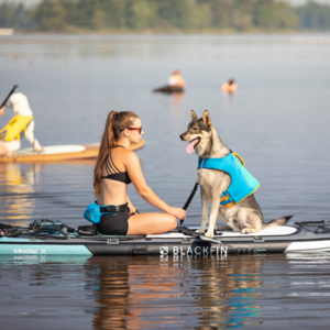 Ottawa Valley Doggy Paddle (OSPCA)